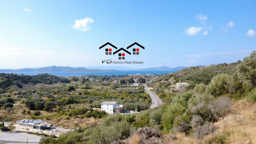 Αγροτεμάχια 7.000 τ.μ. πρός πώληση, Εύβοια, Στύρα