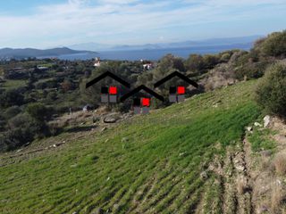 Αγροτεμάχια 11.000 τ.μ. για πώληση