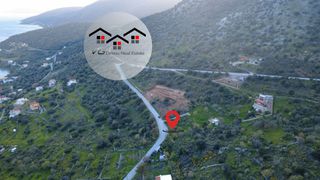 Οικόπεδο 1.000 τ.μ. για πώληση, Εύβοια, Δύστος-thumb-13
