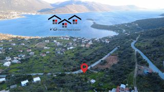 Οικόπεδο 1.000 τ.μ. για πώληση, Εύβοια, Δύστος-thumb-1