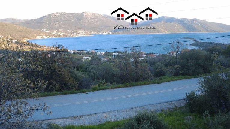 Οικόπεδο 1.000 τ.μ. για πώληση, Εύβοια, Δύστος