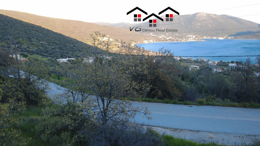 Οικόπεδο 1.000 τ.μ. πρός πώληση, Εύβοια, Δύστος