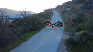 Οικόπεδο 1.000 τ.μ. για πώληση, Εύβοια, Δύστος-thumb-8