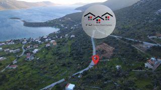 Οικόπεδο 1.000 τ.μ. για πώληση, Εύβοια, Δύστος-thumb-12