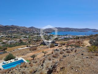 Αγροτεμάχια 6.000 τ.μ. για πώληση