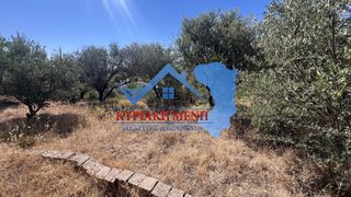 Οικόπεδο 4.935,56 τ.μ. προς πώληση, Άγιος Μηνάς Χίου-thumb-5