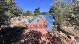 Οικόπεδο 4.935,56 τ.μ. προς πώληση, Άγιος Μηνάς Χίου-thumb-1