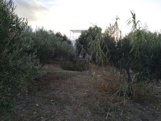 Οικόπεδο 611 τ.μ. προς πώληση, Καμηλάρι-thumb-12