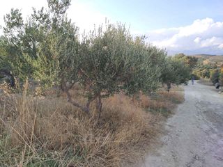 Οικόπεδο 611 τ.μ. για πώληση