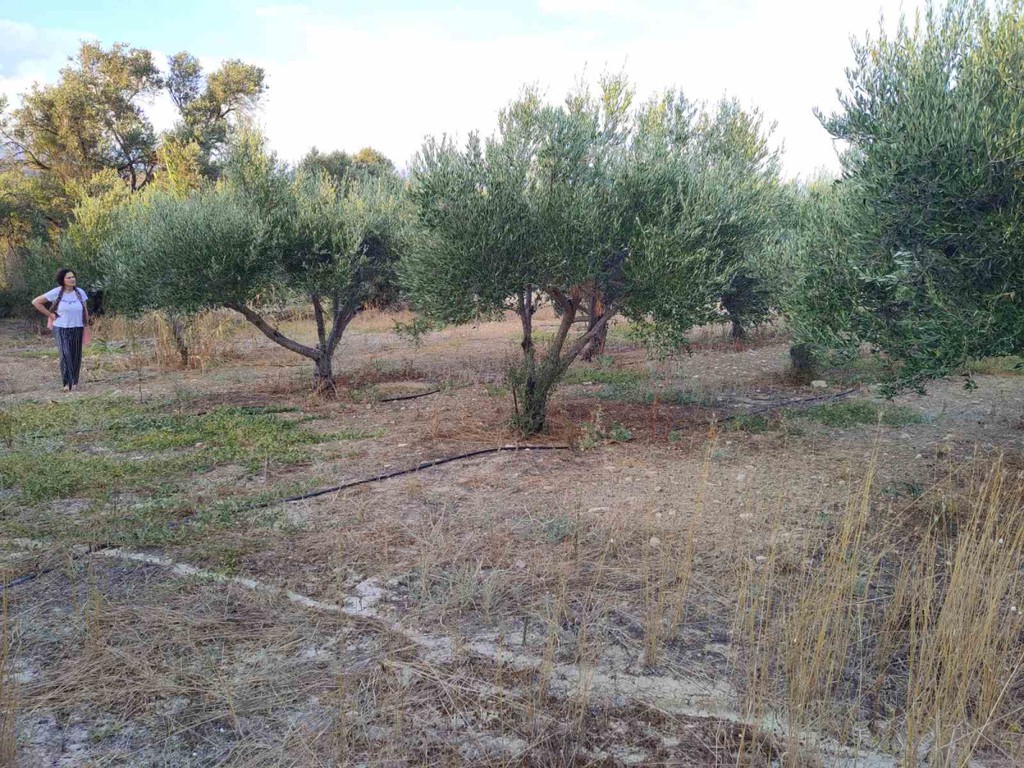 Οικόπεδο 611 τ.μ. πρός πώληση, Ν. Ηρακλείου, Τυμπάκι