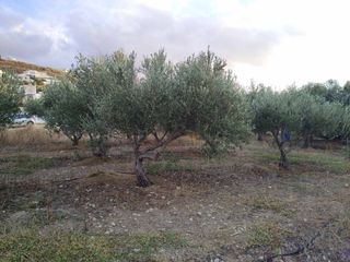 Οικόπεδο 611 τ.μ. προς πώληση, Καμηλάρι-thumb-11