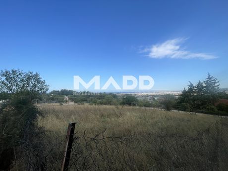 Αγροτεμάχια 3.200 τ.μ. προς ενοικίαση