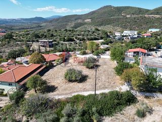 Οικόπεδο 1.363 τ.μ. προς πώληση, Πτελεός-thumb-6