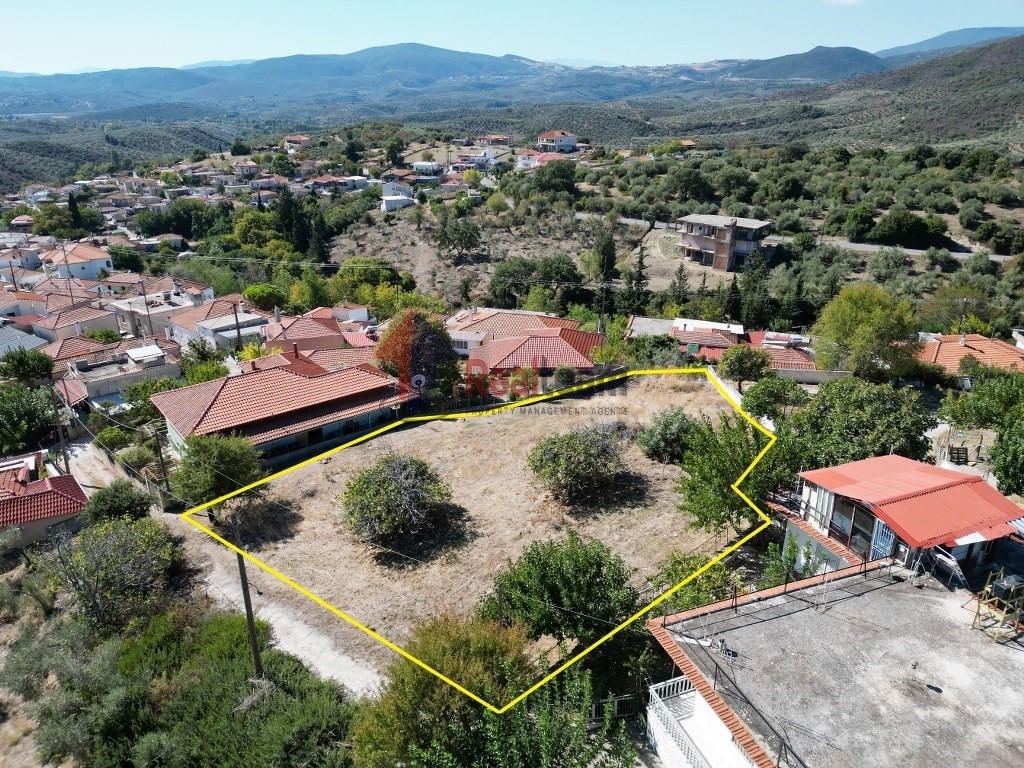 Οικόπεδο 1.363 τ.μ. προς πώληση, Πτελεός