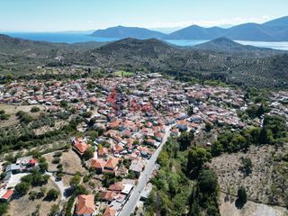 Οικόπεδο 1.363 τ.μ. προς πώληση, Πτελεός-thumb-9