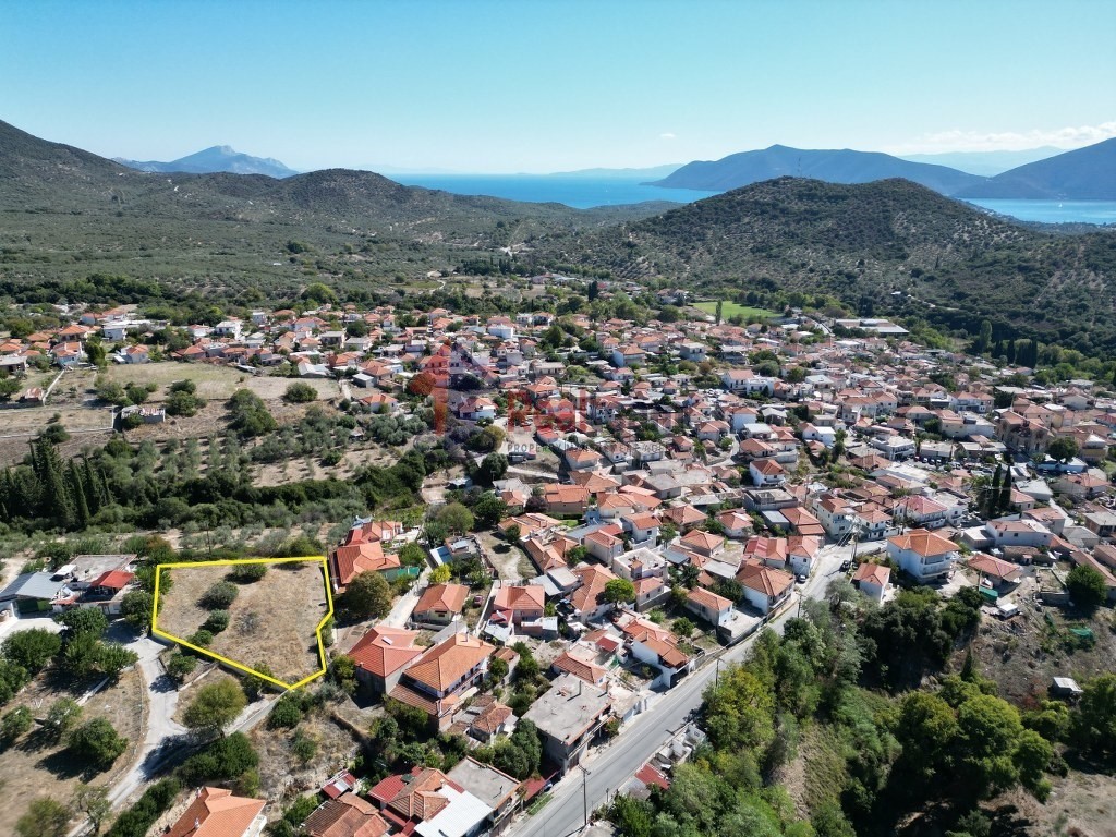 Οικόπεδο 1.363 τ.μ. προς πώληση, Πτελεός