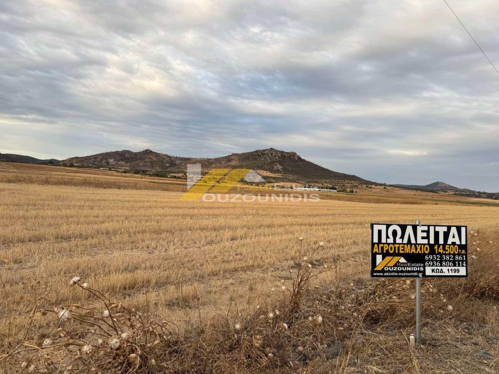 Αγροτεμάχια 14.500 τ.μ. πρός πώληση, Εβρος, Τραϊανούπολη