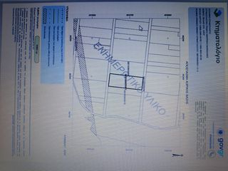 Αγροτεμάχια 11.000 τ.μ. για πώληση