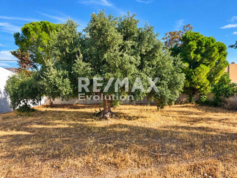 Οικόπεδο 497 τ.μ. πρός πώληση, Αθήνα - Ανατολικά Προάστια, Κορωπί