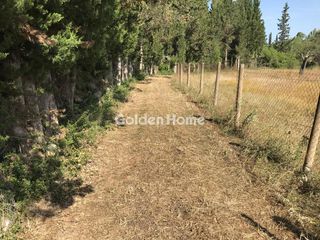 Αγροτεμάχια 8.810 τ.μ. για πώληση