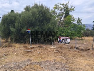 Αγροτεμάχια 1.307 τ.μ. για πώληση