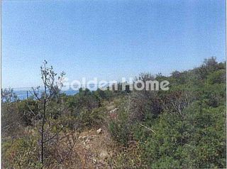 Οικόπεδο 14.024 τ.μ. για πώληση, Μεσσηνία, Λεύκτρος-thumb-2