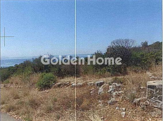 Οικόπεδο 14.024 τ.μ. για πώληση, Μεσσηνία, Λεύκτρος