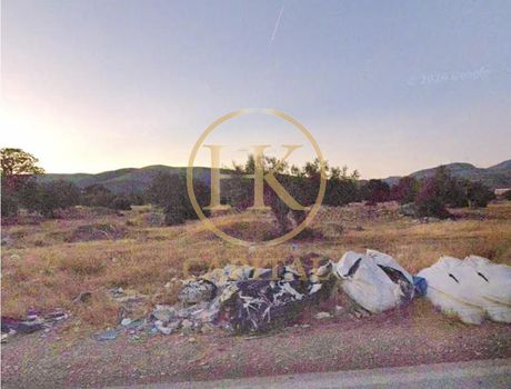 Land plot 3.000 sqm for sale
