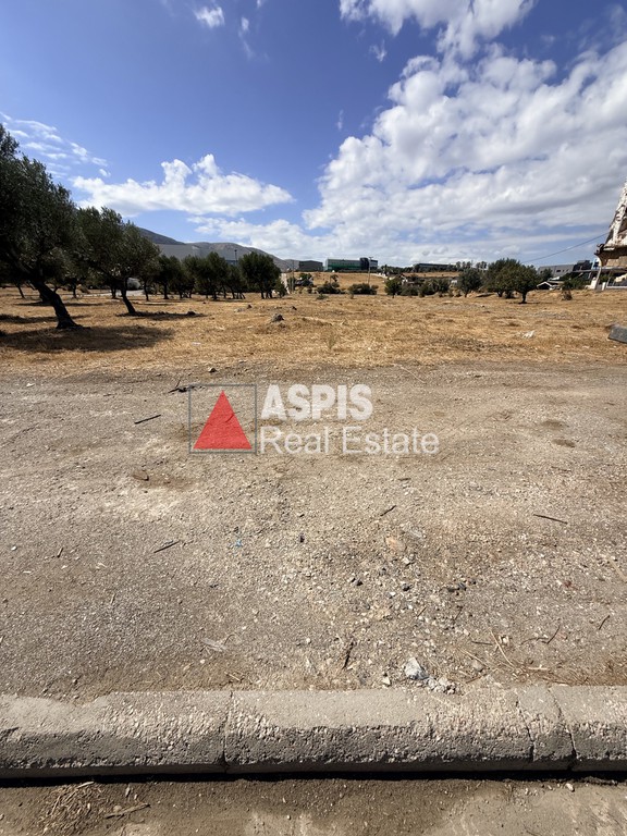Οικόπεδο 2.180 τ.μ. προς ενοικίαση, Αττική - Υπόλοιπο, Κερατέα