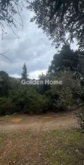 Αγροτεμάχια 3.777 τ.μ. για πώληση, Μαγνησία, Σηπιάδα-thumb-1
