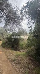 Αγροτεμάχια 3.777 τ.μ. για πώληση, Μαγνησία, Σηπιάδα-thumb-2