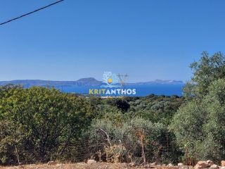 Οικόπεδο 2.016 τ.μ. για πώληση, Ν. Ρεθύμνου, Νικηφόρος Φωκάς-thumb-2