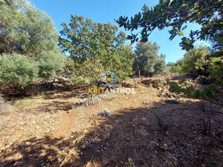 Οικόπεδο 2.016 τ.μ. για πώληση, Ν. Ρεθύμνου, Νικηφόρος Φωκάς-thumb-3