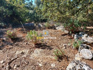 Οικόπεδο 2.016 τ.μ. για πώληση, Ν. Ρεθύμνου, Νικηφόρος Φωκάς-thumb-8