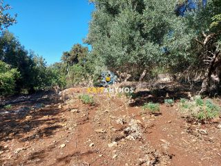 Οικόπεδο 2.016 τ.μ. για πώληση, Ν. Ρεθύμνου, Νικηφόρος Φωκάς-thumb-9
