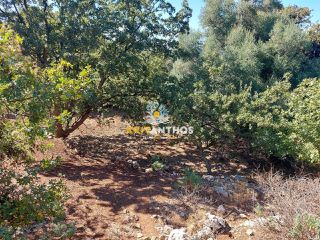 Οικόπεδο 2.016 τ.μ. για πώληση, Ν. Ρεθύμνου, Νικηφόρος Φωκάς-thumb-13