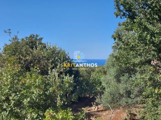 Οικόπεδο 2.016 τ.μ. για πώληση, Ν. Ρεθύμνου, Νικηφόρος Φωκάς-thumb-19