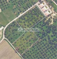 Οικόπεδο 8.238 τ.μ. για πώληση, Ζάκυνθος, Αρκάδι-thumb-1