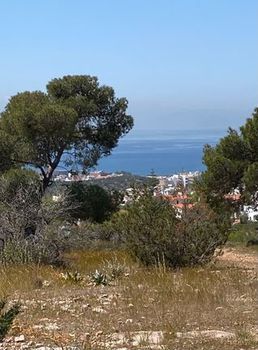 Land plot 728 sqm for sale