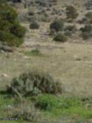 Οικόπεδο 38.000 τ.μ. προς πώληση, Λαγονήσι