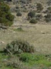Οικόπεδο 38.000 τ.μ. για πώληση