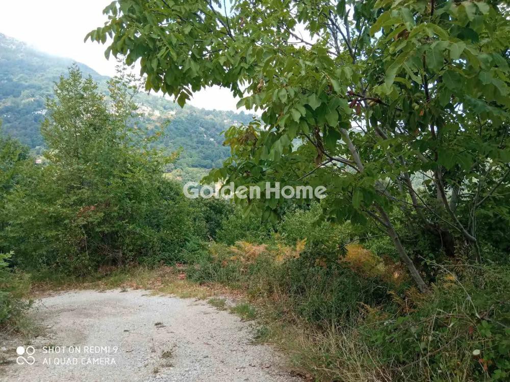 Οικόπεδο 8.200 τ.μ. πρός πώληση, Μαγνησία, Μούρεσι