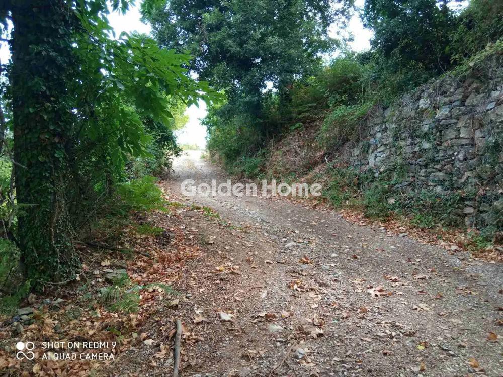 Οικόπεδο 8.200 τ.μ. πρός πώληση, Μαγνησία, Μούρεσι