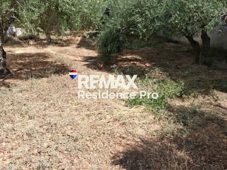 Οικόπεδο 377 τ.μ. προς πώληση