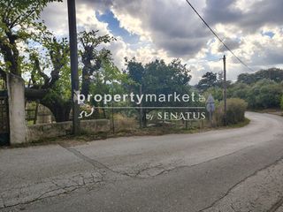 Μονοκατοικία 122 τ.μ. προς πώληση, Κάστελλος Ρεθύμνου-thumb-5