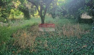 Οικόπεδο 303 τ.μ. για πώληση