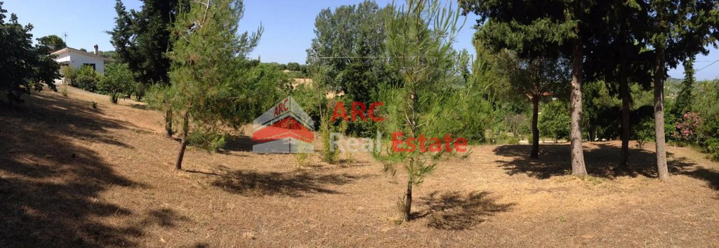 Οικόπεδο 6.758 τ.μ. προς πώληση, Καλάνδρα