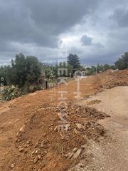Οικόπεδο 1.000 τ.μ. για πώληση