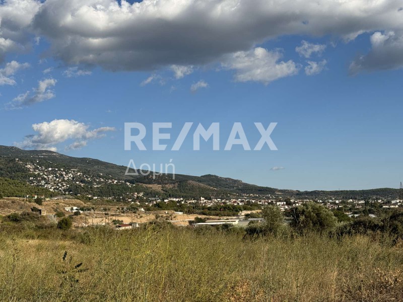 Αγροτεμάχια 5.668 τ.μ. πρός πώληση, Μαγνησία, Βόλος