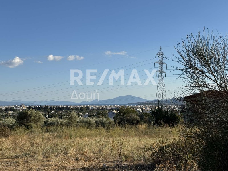 Αγροτεμάχια 5.668 τ.μ. πρός πώληση, Μαγνησία, Βόλος
